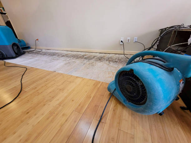 Reliable Emergency Water Removal contractor in Helenville, WI by Hirex Water Damage
