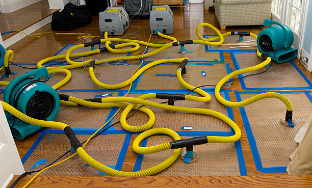 Professional Emergency Water Removal technician working in Helenville, WI